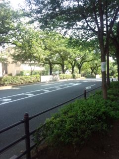 f0112873_2333388.jpg