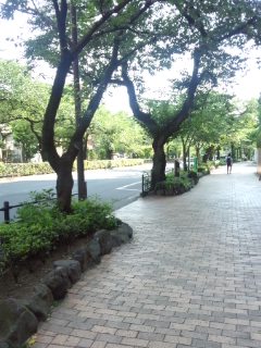 f0112873_23335488.jpg