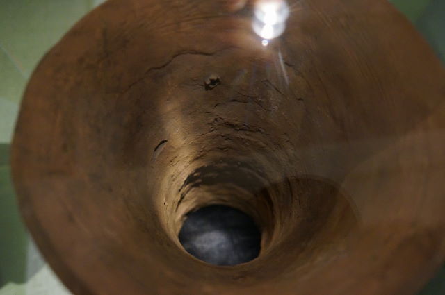 a0113874_9552881.jpg