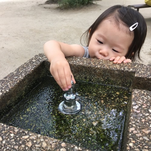 d0041575_21082820.jpeg