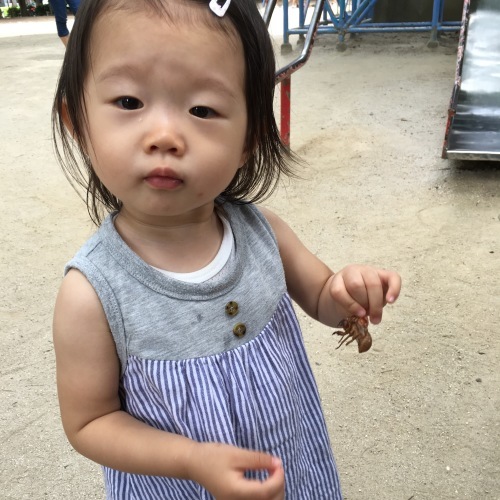 d0041575_21093481.jpeg