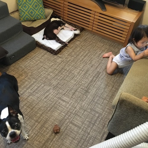d0041575_21105659.jpeg
