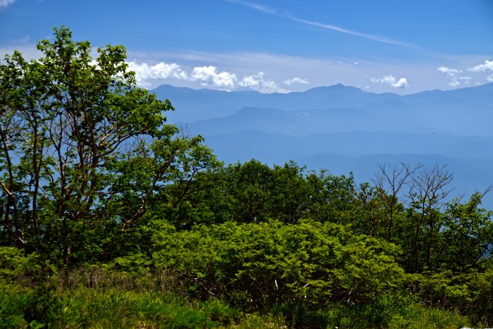 d0341880_1411956.jpg