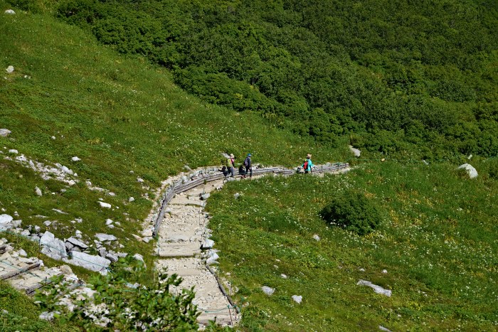 d0341880_1472363.jpg