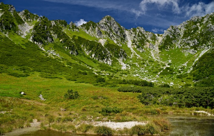 d0341880_1485198.jpg