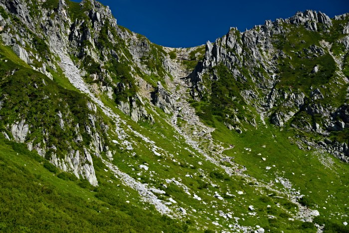 d0341880_148875.jpg