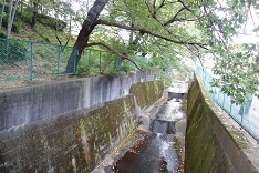d0183387_15191720.jpg