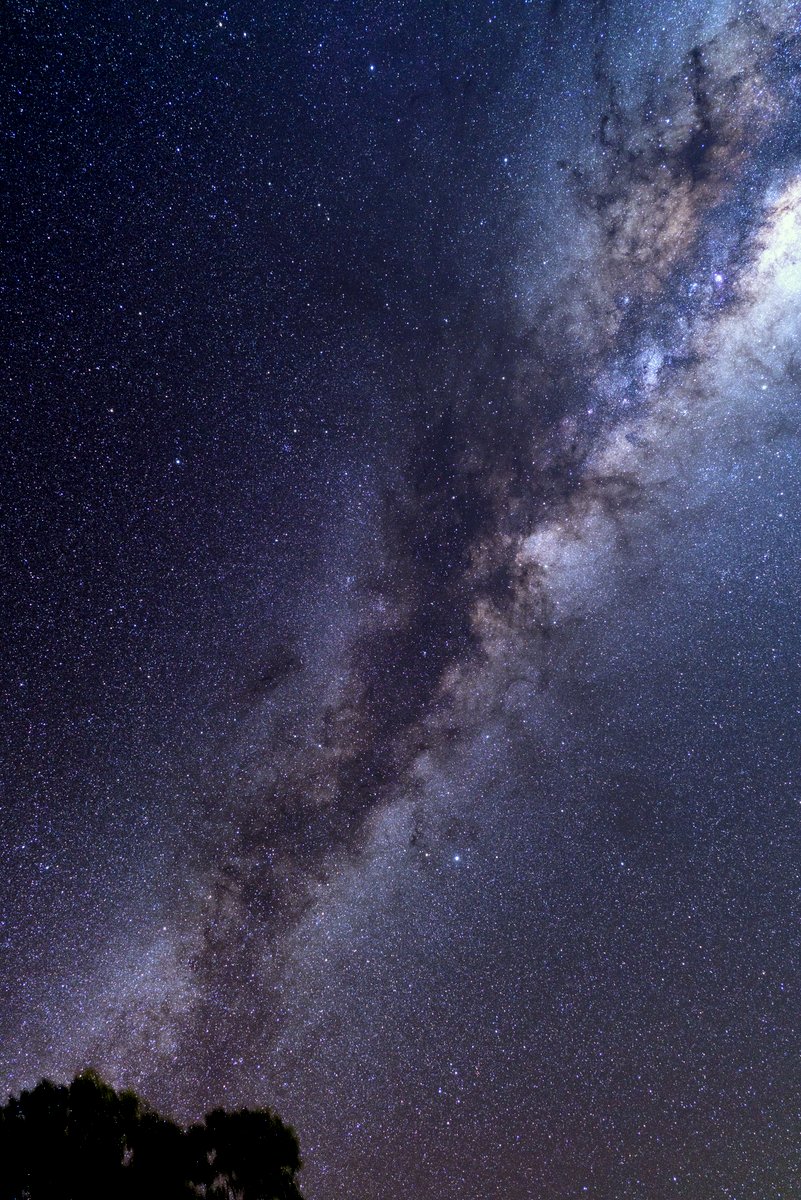 e0108787_9514932.jpg
