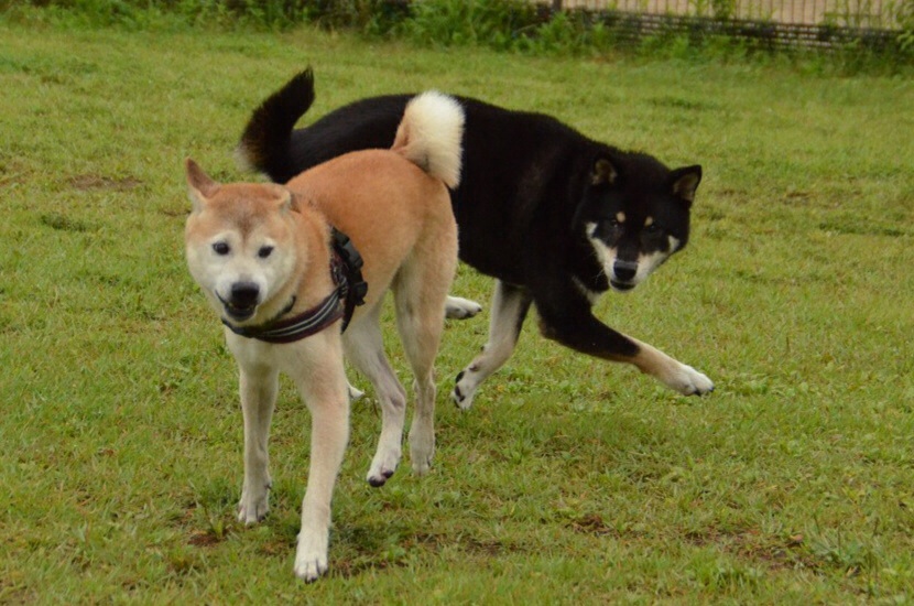 c0123890_2102158.jpg