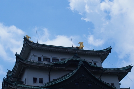 b0035391_11353137.jpg