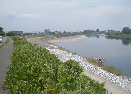 d0053294_20121745.jpg
