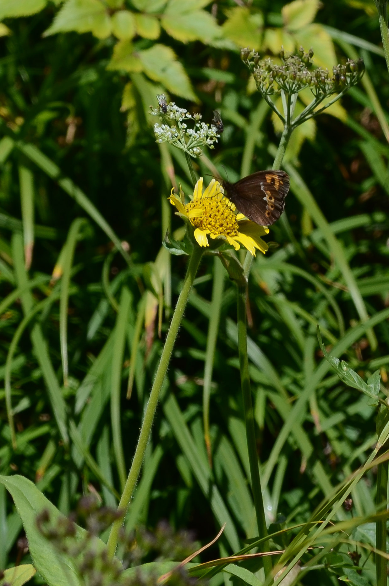 b0078795_17444187.jpg