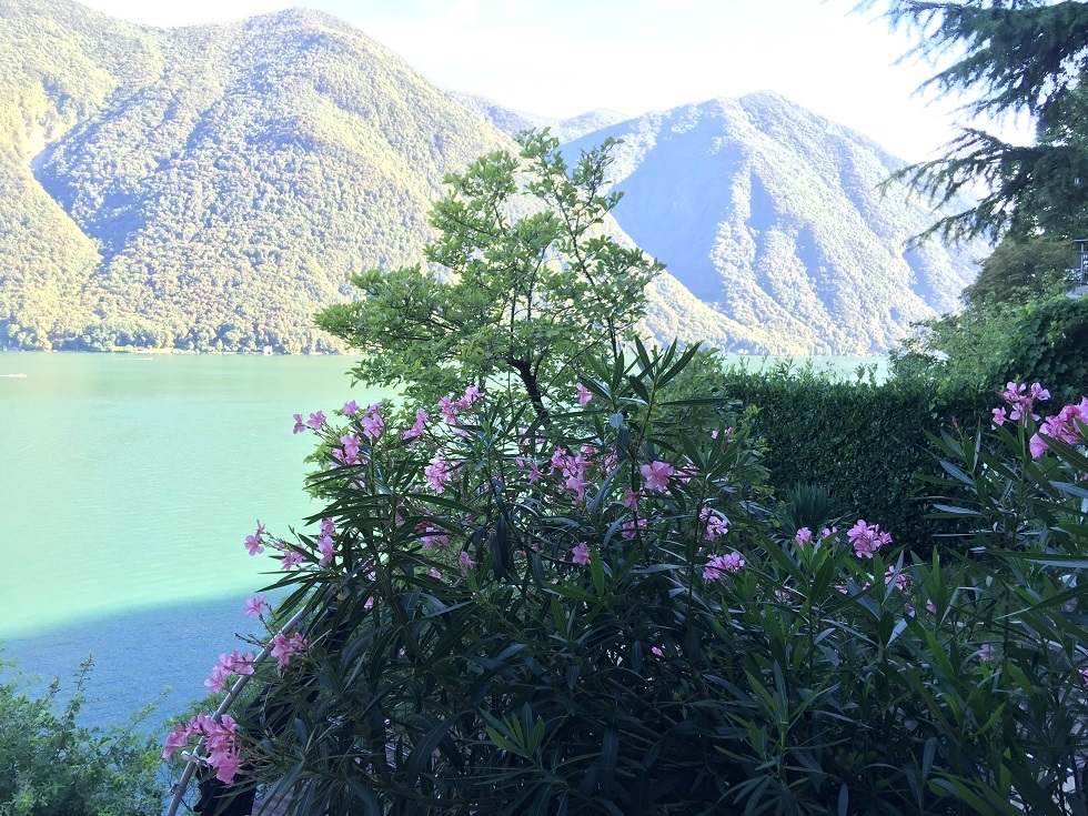 b0166496_17453871.jpg