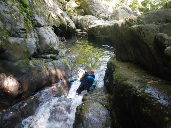 d0006512_09565725.jpg