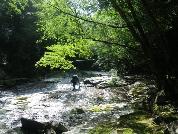 d0006512_10005322.jpg