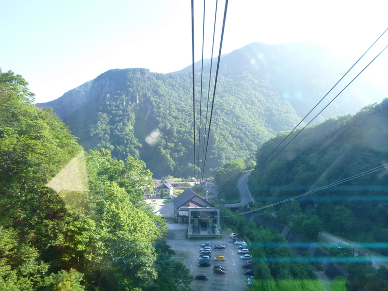 d0170615_18491238.jpg