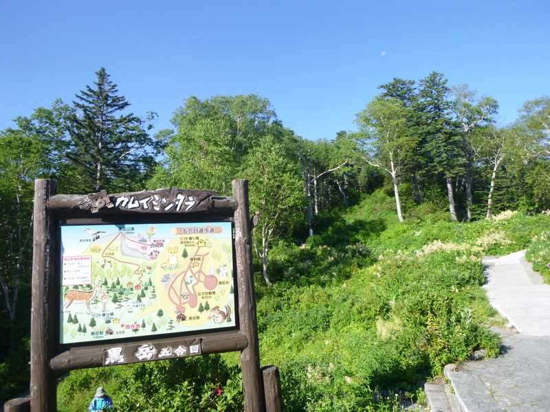 d0170615_18493199.jpg