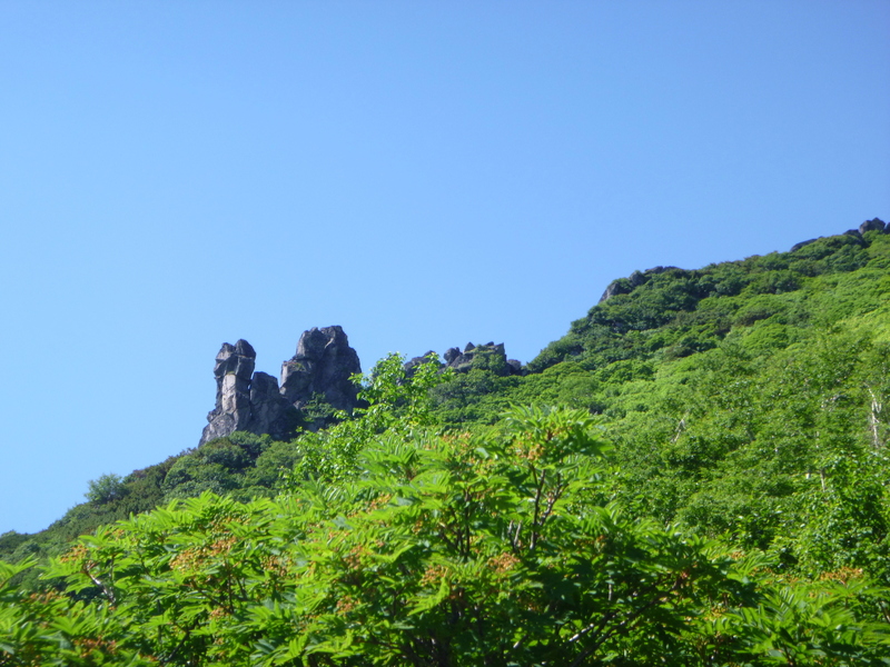 d0170615_18554855.jpg