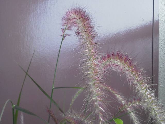 a0268821_23124125.jpg