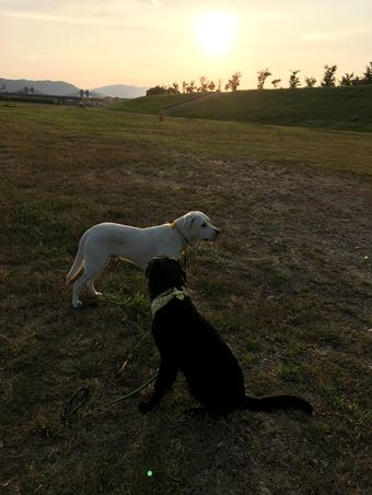 c0114121_06871.jpg