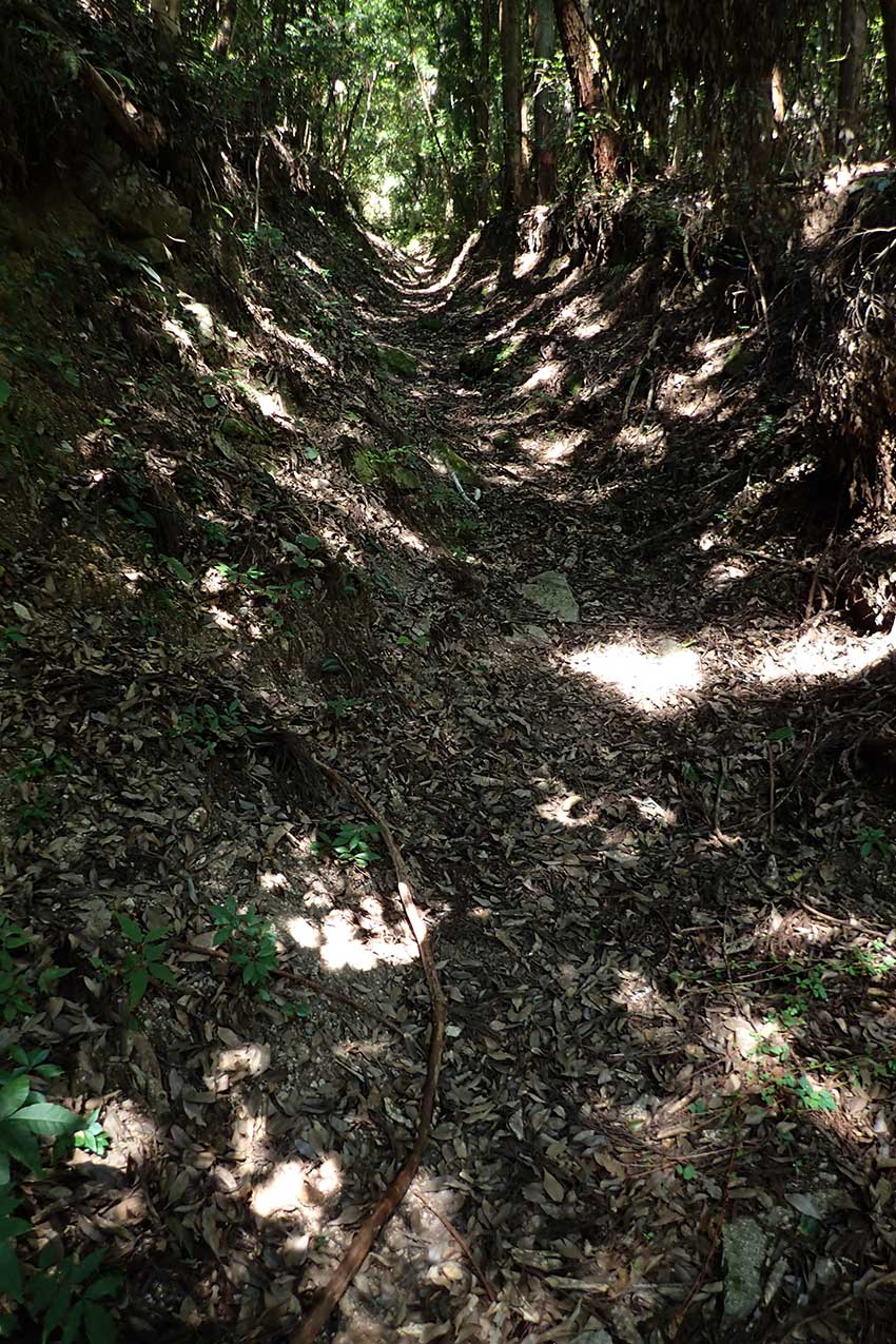c0064025_1783089.jpg