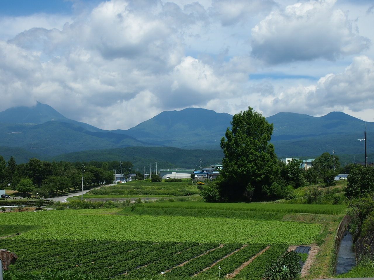 c0234728_23272548.jpg