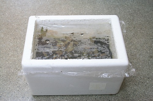 f0363529_23134348.jpg