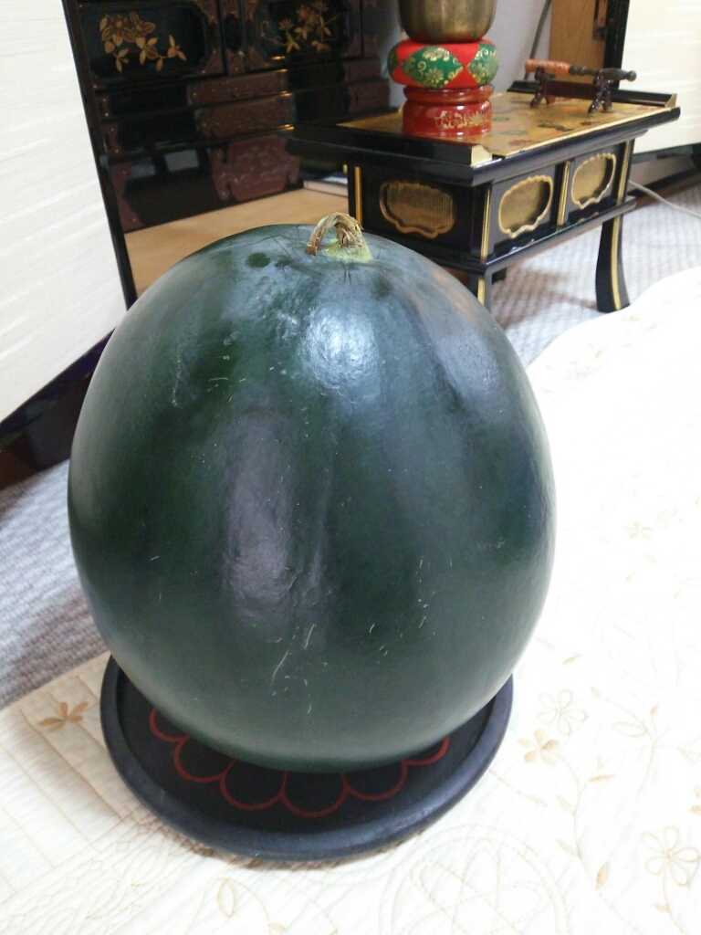 b0186130_00224017.jpg