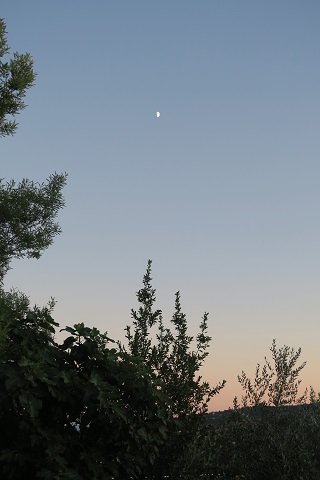 f0234936_7181197.jpg