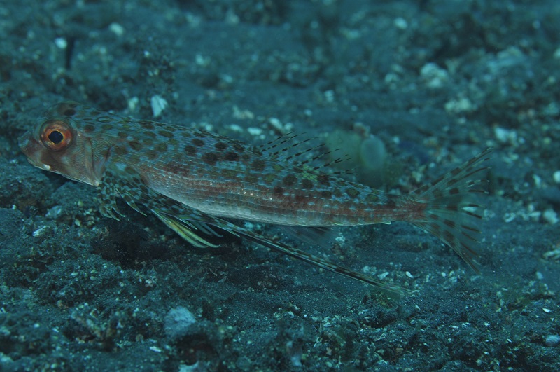 b0042837_0215772.jpg