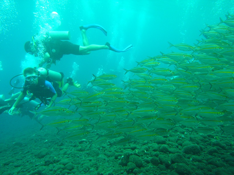 b0042837_9311148.jpg