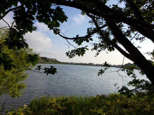a0156548_21355817.jpg