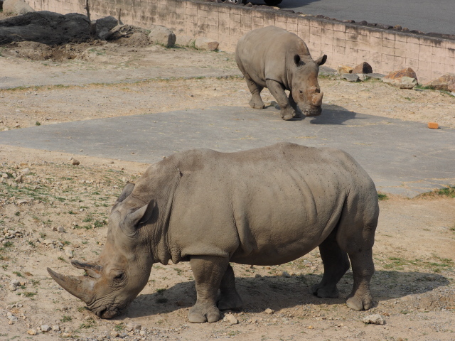 c0186760_12490170.jpg