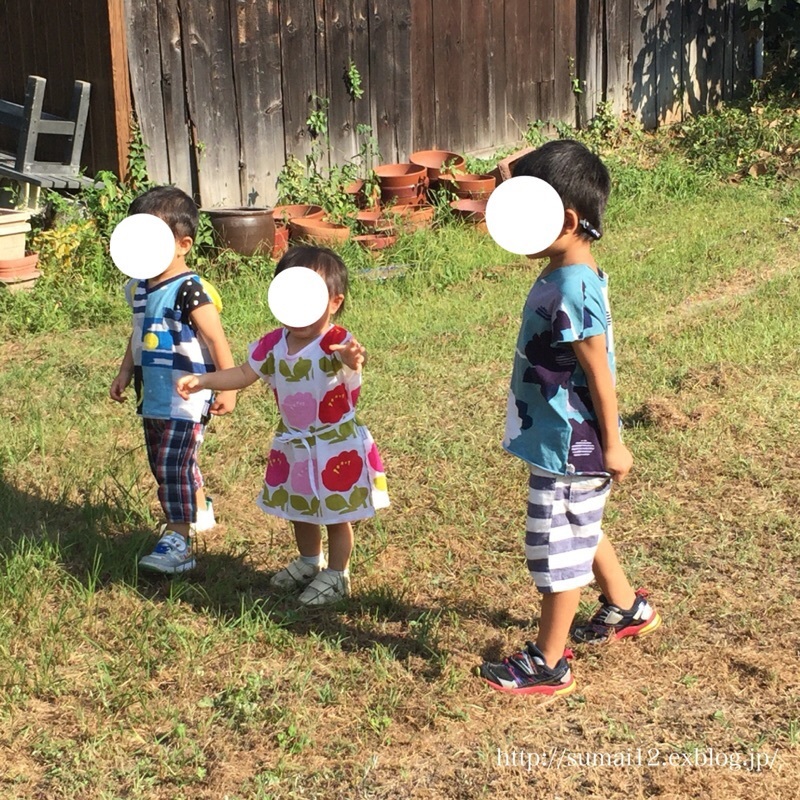 e0353560_21174399.jpeg