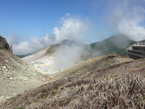 c0011862_2032684.jpg