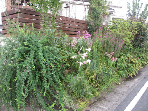 a0243064_8545318.jpg
