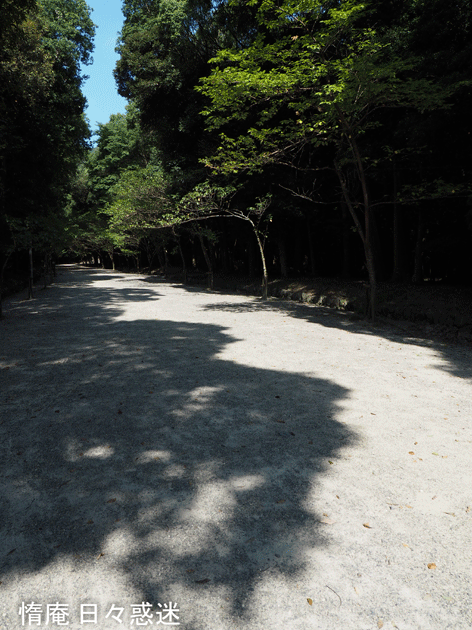e0346064_1611355.gif