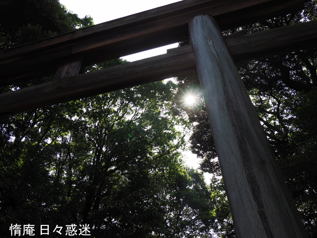 e0346064_1612239.gif