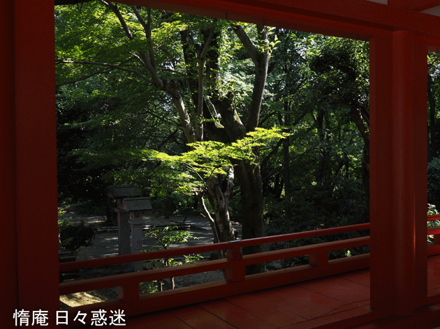 e0346064_1614016.gif