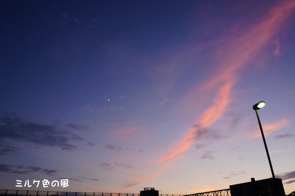 c0368870_10344782.jpg