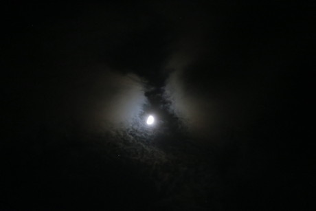 e0292172_2131936.jpg