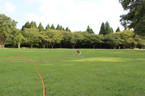 e0114977_12435661.jpg