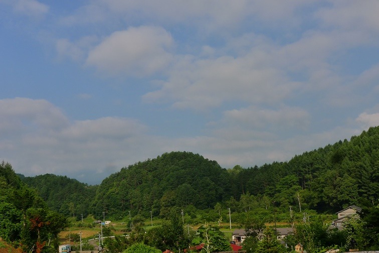 a0130586_955586.jpg