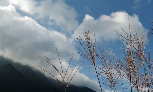 b0029488_1553667.jpg