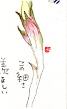 f0029393_5221645.jpg