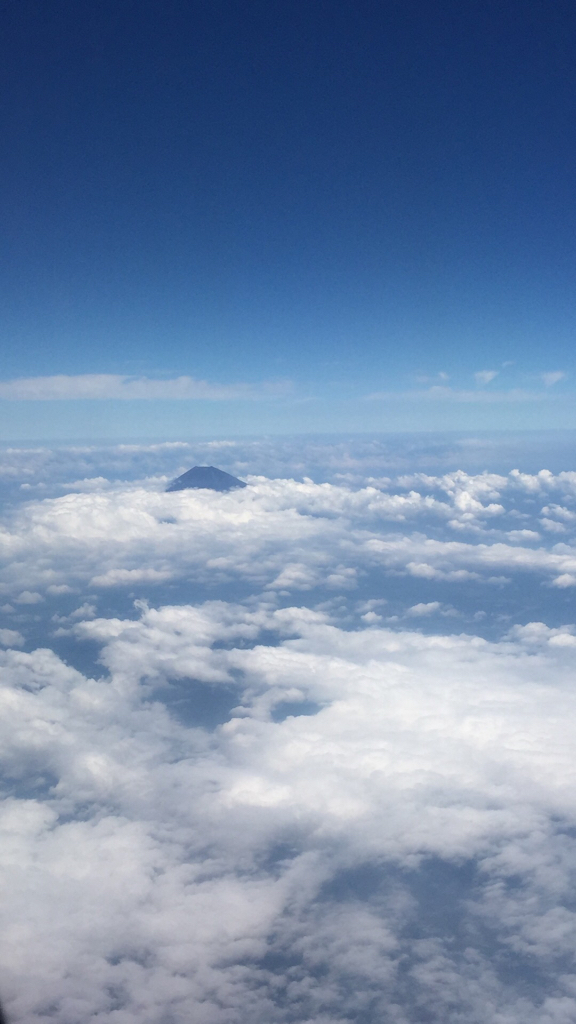d0057701_10532529.jpg