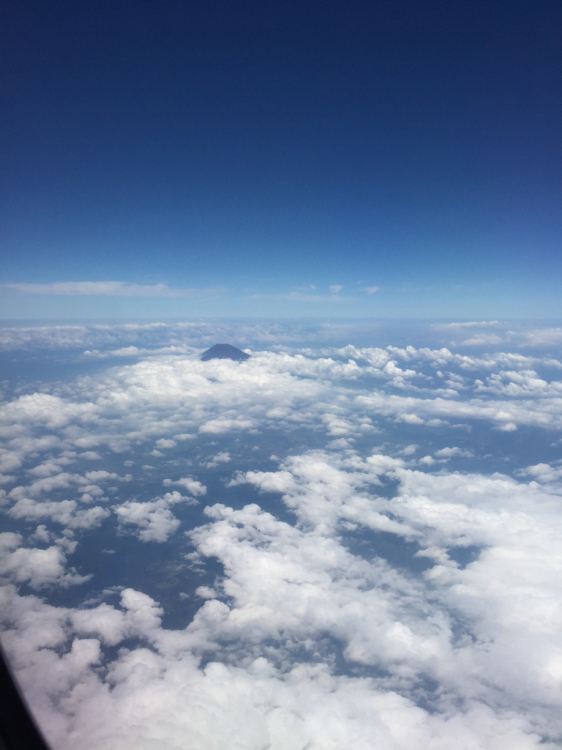d0057701_10532618.jpg