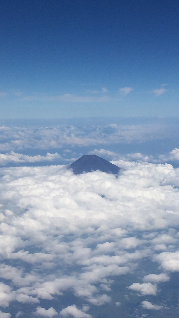 d0057701_10532792.jpg