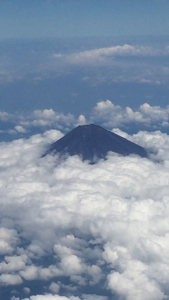 d0057701_10532888.jpg