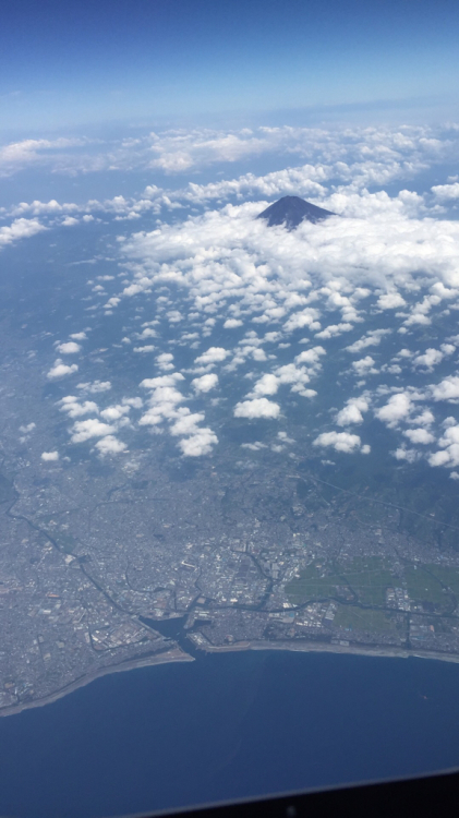d0057701_10532905.jpg